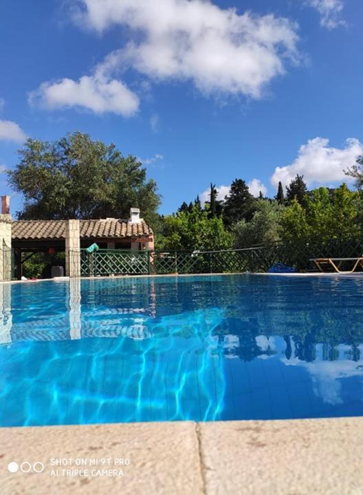 Pool Villa Grigoris Aspiotades Bagian luar foto