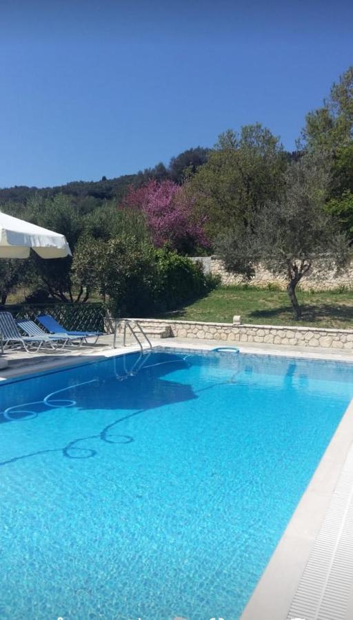 Pool Villa Grigoris Aspiotades Bagian luar foto