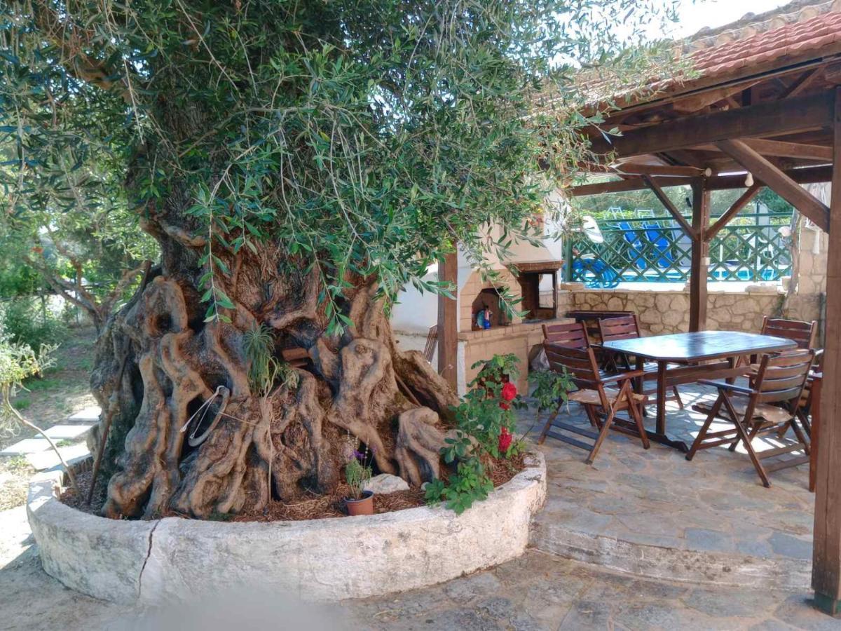 Pool Villa Grigoris Aspiotades Bagian luar foto